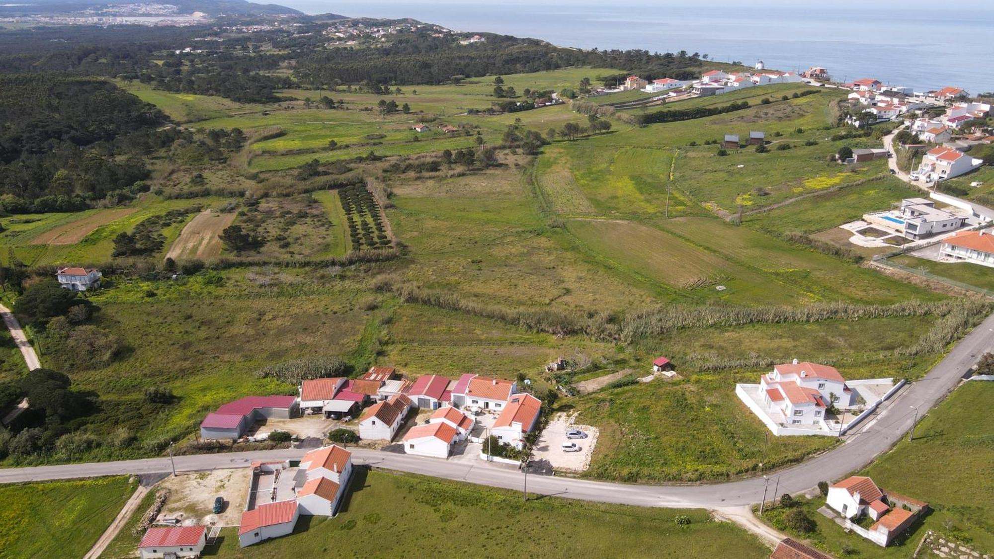 Casas Com Amoras In Serra Da Pescaria Famalicao Exterior photo